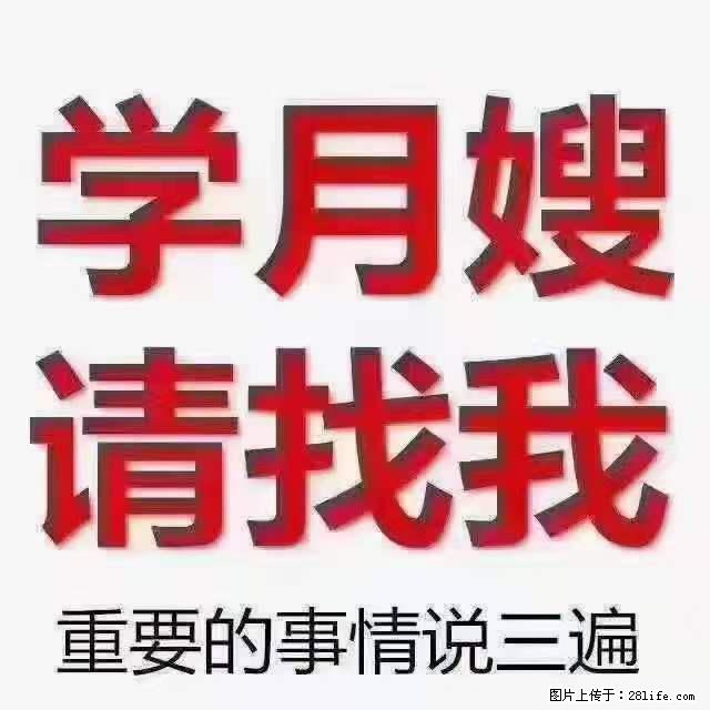 为什么要学习月嫂,育婴师? - 其他广告 - 广告专区 - 乐山分类信息 - 乐山28生活网 ls.28life.com