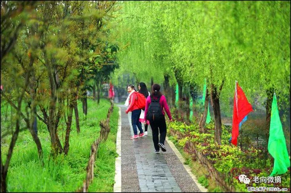 【春天,广西桂林灌阳县向您发出邀请!】江口老街又逢春 - 游山玩水 - 乐山生活社区 - 乐山28生活网 ls.28life.com