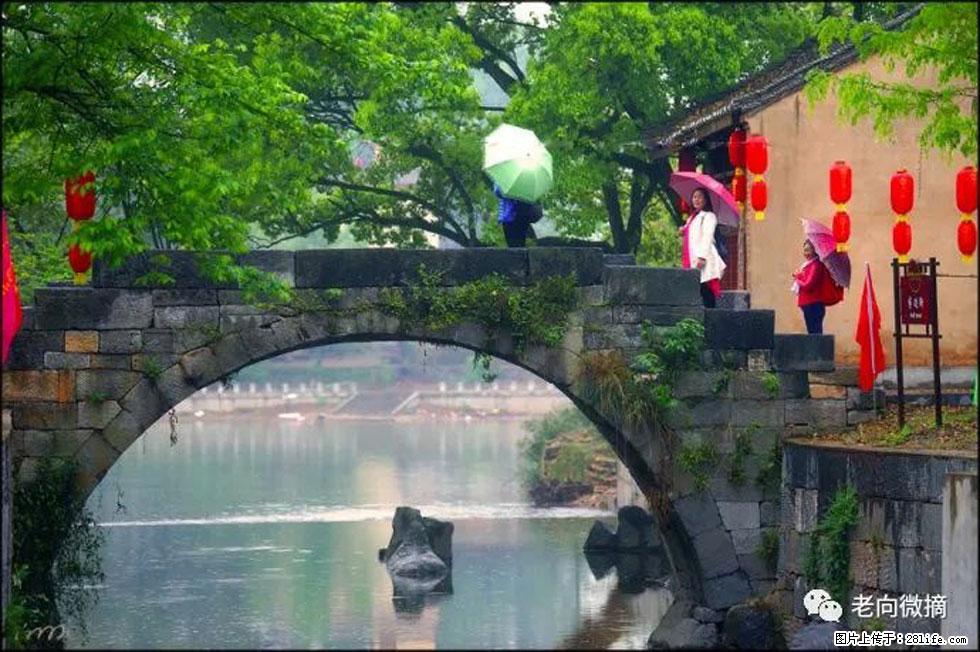 【春天,广西桂林灌阳县向您发出邀请!】江口老街又逢春 - 游山玩水 - 乐山生活社区 - 乐山28生活网 ls.28life.com
