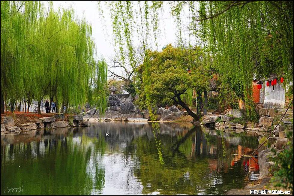 【春天,广西桂林灌阳县向您发出邀请!】江口老街又逢春 - 游山玩水 - 乐山生活社区 - 乐山28生活网 ls.28life.com