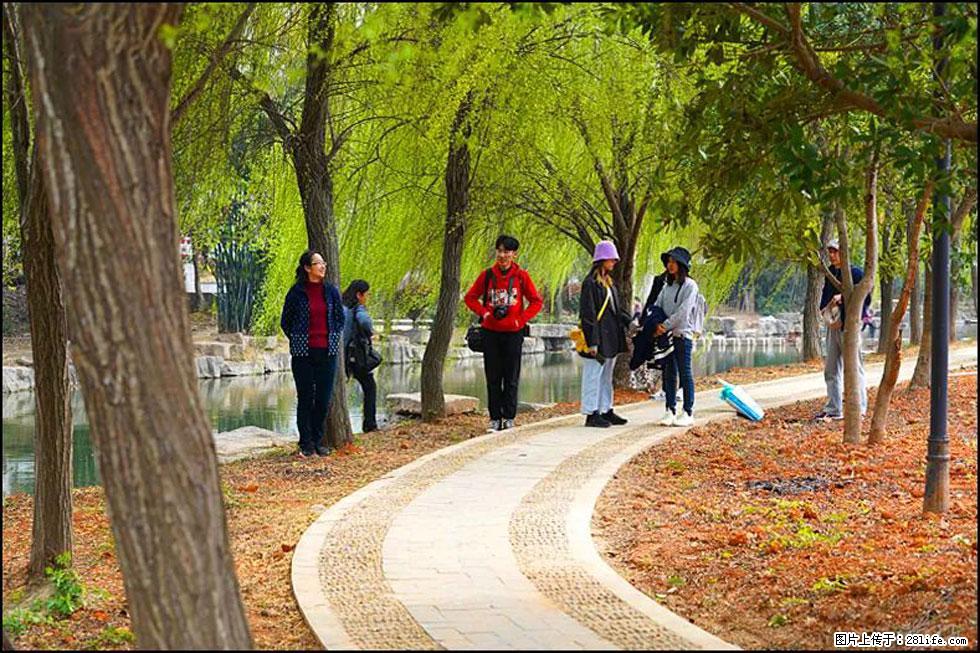 【春天,广西桂林灌阳县向您发出邀请!】江口老街又逢春 - 游山玩水 - 乐山生活社区 - 乐山28生活网 ls.28life.com