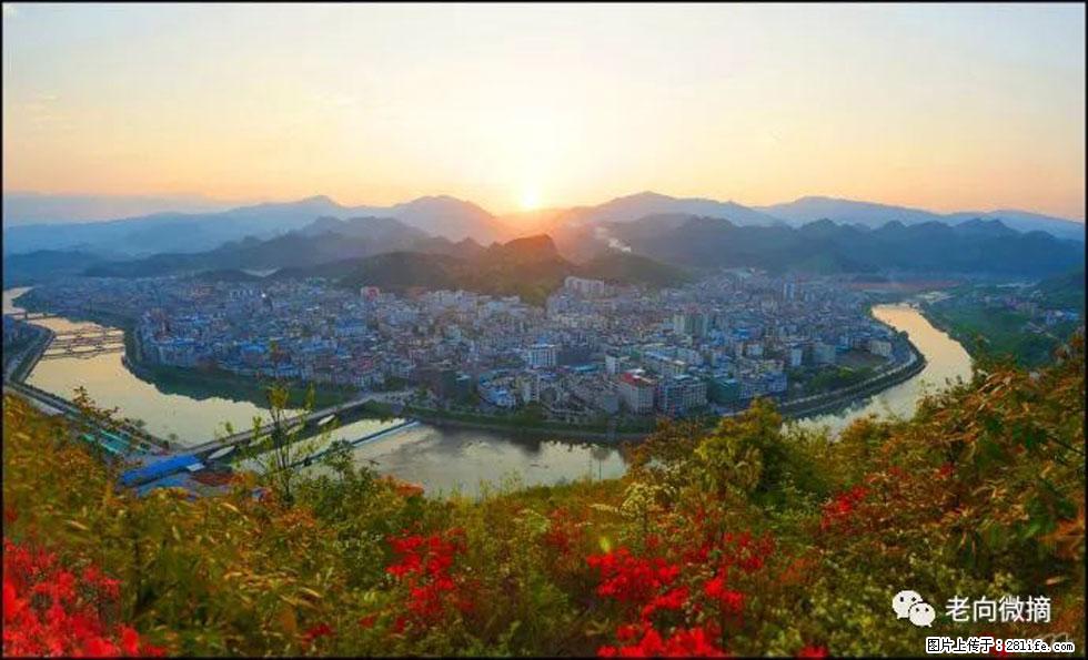 【春天,广西桂林灌阳县向您发出邀请!】登麒麟山,相约映山红 - 游山玩水 - 乐山生活社区 - 乐山28生活网 ls.28life.com