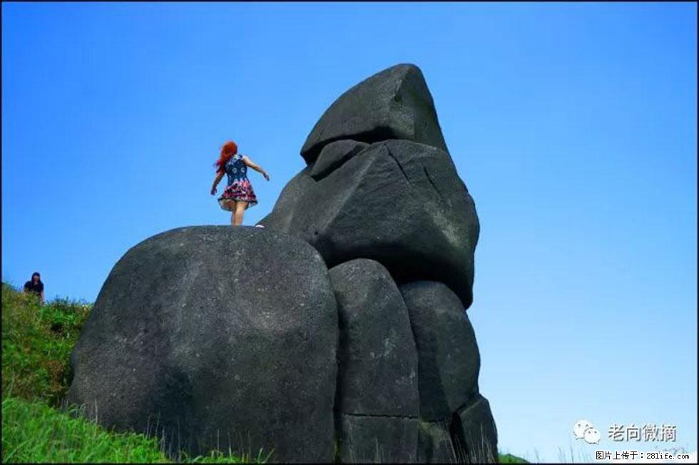 【春天,广西桂林灌阳县向您发出邀请!】宝盖山上映山红 - 游山玩水 - 乐山生活社区 - 乐山28生活网 ls.28life.com