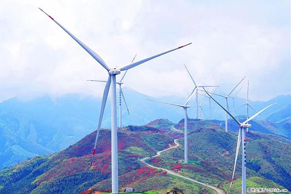 【春天,广西桂林灌阳县向您发出邀请!】春木界上映山红 - 游山玩水 - 乐山生活社区 - 乐山28生活网 ls.28life.com