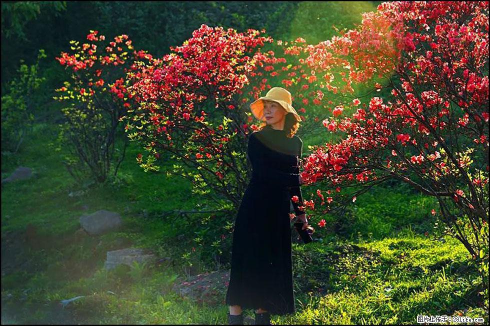 【春天,广西桂林灌阳县向您发出邀请!】春木界上映山红 - 游山玩水 - 乐山生活社区 - 乐山28生活网 ls.28life.com