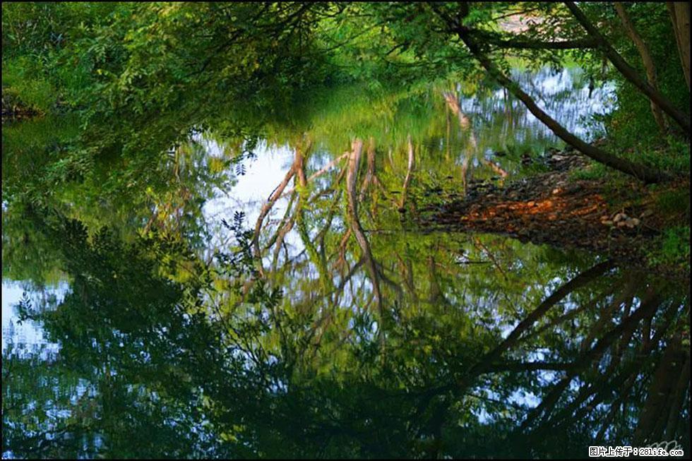 【春天,广西桂林灌阳县向您发出邀请!】熊家寨湿地公园 - 游山玩水 - 乐山生活社区 - 乐山28生活网 ls.28life.com