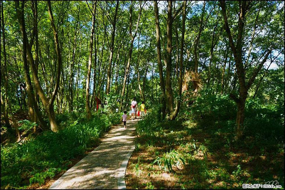 【春天,广西桂林灌阳县向您发出邀请!】熊家寨湿地公园 - 游山玩水 - 乐山生活社区 - 乐山28生活网 ls.28life.com
