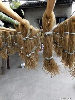 【灌阳正宗红薯粉】美女家里自己做的,干净卫生,假一赔十,价格合理,抢购电话:13737312895 - 乐山28生活网 ls.28life.com