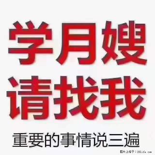 为什么要学习月嫂，育婴师？ - 乐山28生活网 ls.28life.com
