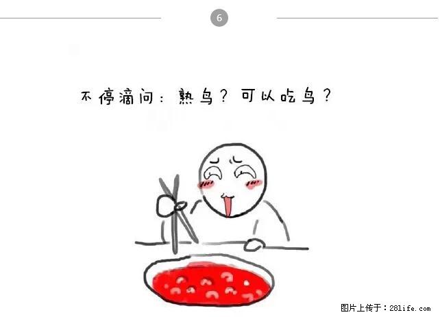 千万不要和这9种哈卵一起吃火锅! - 美食天地 - 乐山生活社区 - 乐山28生活网 ls.28life.com
