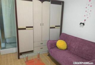 牛儿桥附近+中装一室+可月付+交通便利+拎包入住 - 乐山28生活网 ls.28life.com