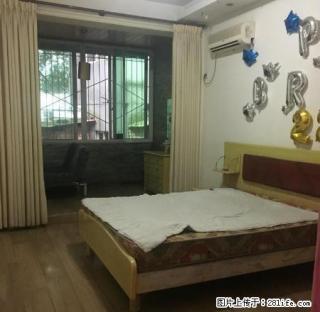 市中区张公桥出租好房,标准三房,家具家电齐全拎包入住随时看房 - 乐山28生活网 ls.28life.com