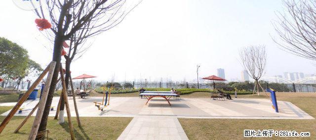 翡翠国际旁1100租价,精装观江房,品质小区 - 房屋出租 - 房屋租售 - 乐山分类信息 - 乐山28生活网 ls.28life.com