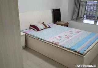 牛洱桥竹公溪竹溪水岸精装新3室+全套家具家电 拎包入住 - 乐山28生活网 ls.28life.com