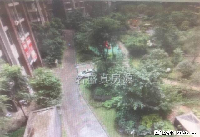 西城国际精装两室全新家具家电拎包入住价格可少 - 房屋出租 - 房屋租售 - 乐山分类信息 - 乐山28生活网 ls.28life.com