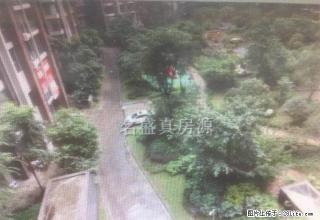 西城国际精装两室全新家具家电拎包入住价格可少 - 乐山28生活网 ls.28life.com