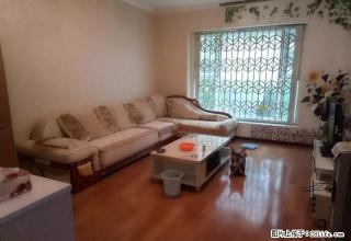 凤凰小区精装两室+交通方便+拎包入住 - 乐山28生活网 ls.28life.com