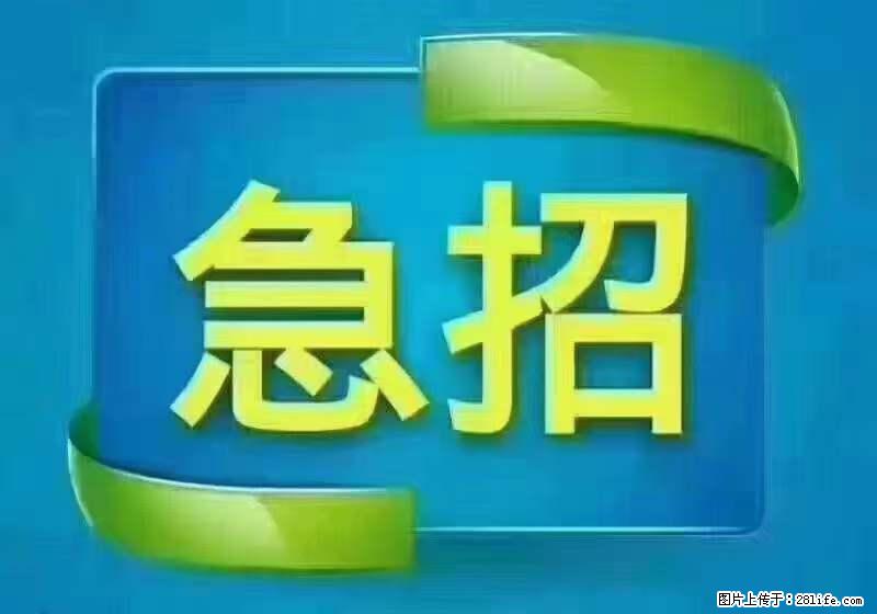 招财务，有会计证的，熟手会计1.1万底薪，上海五险一金，包住，包工作餐，做六休一 - 人事/行政/管理 - 招聘求职 - 乐山分类信息 - 乐山28生活网 ls.28life.com