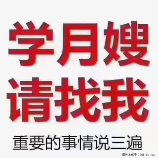【招聘】月嫂，上海徐汇区 - 乐山28生活网 ls.28life.com