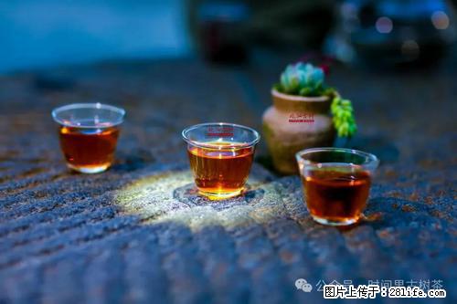 时间果百年古树2025年春红茶 - 购物交流 - 乐山生活社区 - 乐山28生活网 ls.28life.com