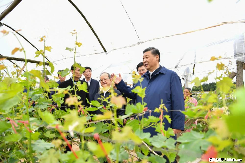 习近平赴广西考察调研 - 乐山生活资讯 - 乐山28生活网 ls.28life.com
