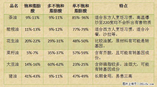 揭秘茶油的5大核心营养成分!被称为人体健康的“守护盾”! - 乐山生活资讯 - 乐山28生活网 ls.28life.com