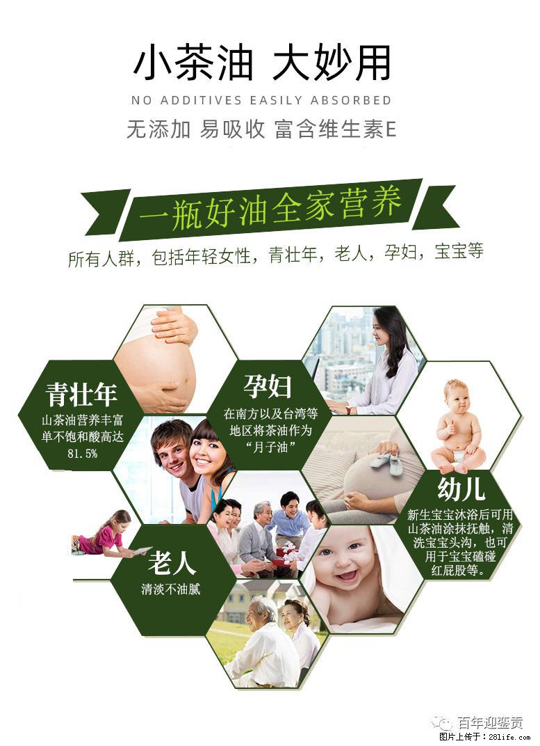 世界没有真相,只有认知,最好的食用油是中国的山茶油! - 乐山生活资讯 - 乐山28生活网 ls.28life.com