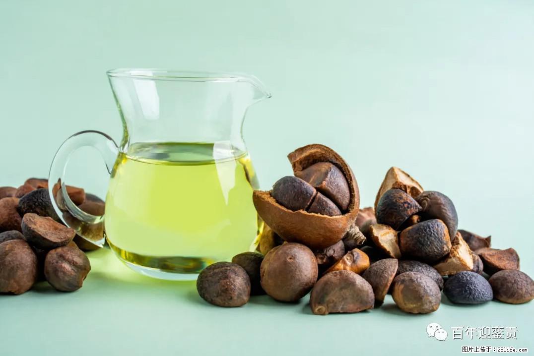 世界没有真相，只有认知，最好的食用油是中国的山茶油！ - 乐山生活资讯 - 乐山28生活网 ls.28life.com