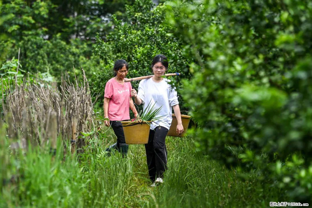 全网追的“扁担女孩”，找了一份暑假工，时薪12元 - 乐山生活资讯 - 乐山28生活网 ls.28life.com