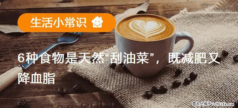【生活小常识】6种食物是天然“刮油菜”，既减肥又降血脂 - 乐山生活资讯 - 乐山28生活网 ls.28life.com