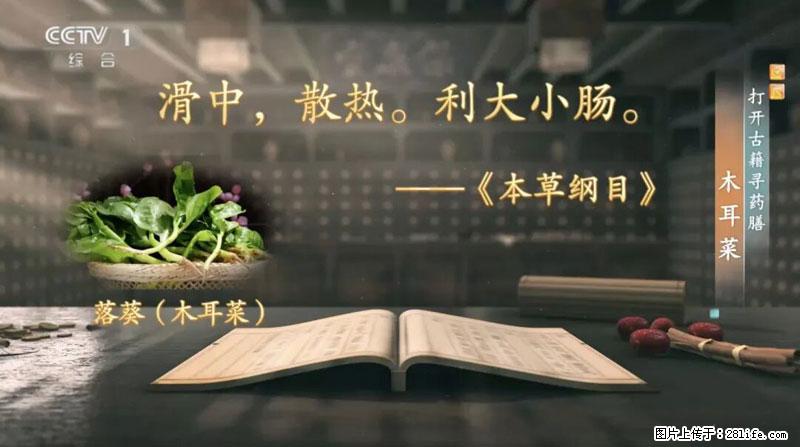 比牛奶补钙还厉害!凉血解毒、稳血糖...这菜冬天必吃,很多人却当草 - 乐山生活资讯 - 乐山28生活网 ls.28life.com