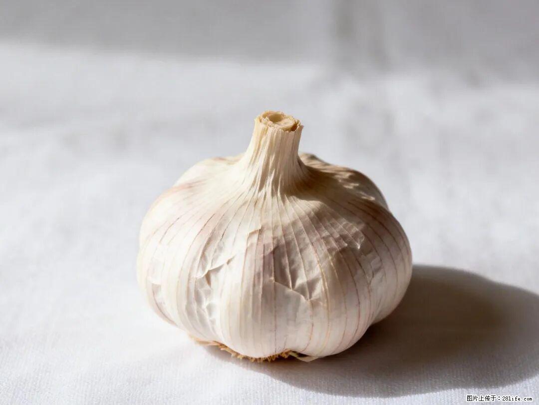 关于大蒜，除了“天然抗生素”，这4个谣言更该警惕! - 乐山生活资讯 - 乐山28生活网 ls.28life.com