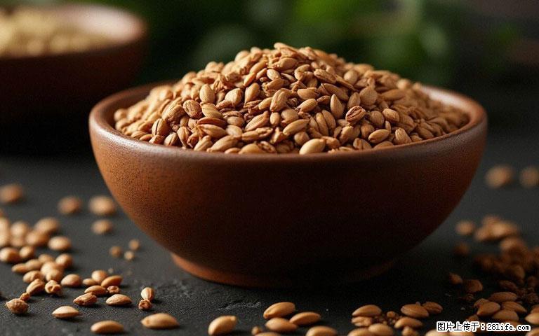 这三苦是三高“克星”,心血管干净不易堵!每天吃一点,指标慢慢降下来~ - 乐山生活资讯 - 乐山28生活网 ls.28life.com