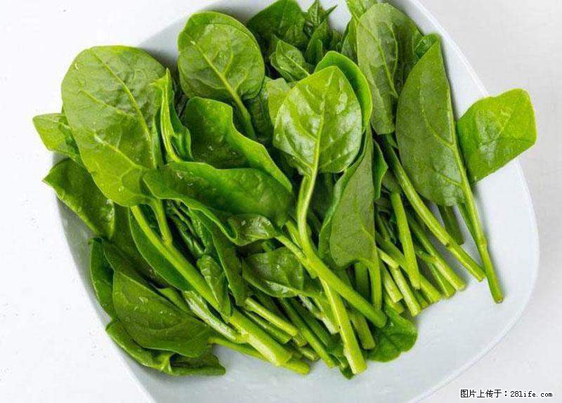 这些蔬菜是“天然钙片”，这6种被医生重点推荐 - 乐山生活资讯 - 乐山28生活网 ls.28life.com