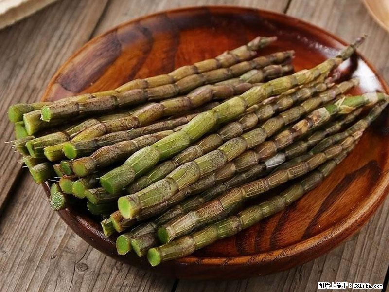 铁皮石斛的作用与功能主治 - 乐山生活资讯 - 乐山28生活网 ls.28life.com