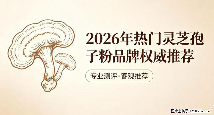 灵芝孢子粉含量越高越有效？2026 年七款热门品牌深度实测，肠胃敏感者避坑指南 - 乐山生活资讯 - 乐山28生活网 ls.28life.com